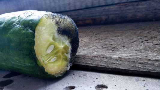 在木头和混凝土背景下的黑色模具中变质的黄瓜图片素材