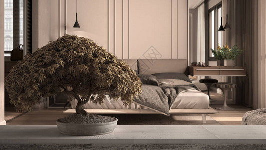 在米色调的经典卧室带羽绒被和枕头的双人床禅宗清洁背景图片