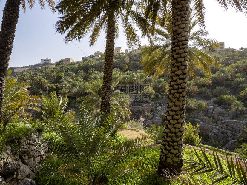 传统的阿曼村高清图片下载正版图片504332754摄图网