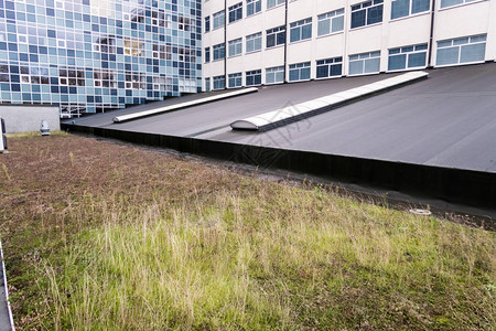 在城市的一栋大型建筑上工厂被植在屋顶上图片