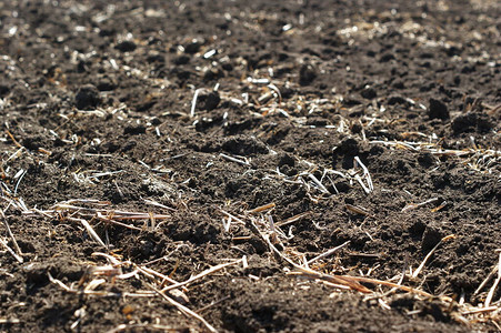 清新耕种的赫诺泽姆草地加上去年的干枯顶部残骸这些将腐图片