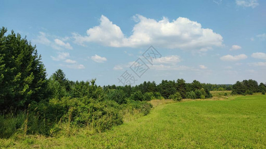 在蓝天空和云层背景地带植树造图片