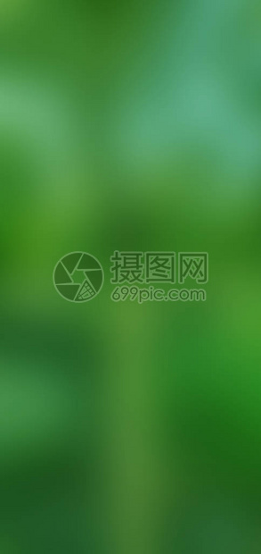 抽象模糊渐变背景自然背景您的设计横幅或海报的生态概图片