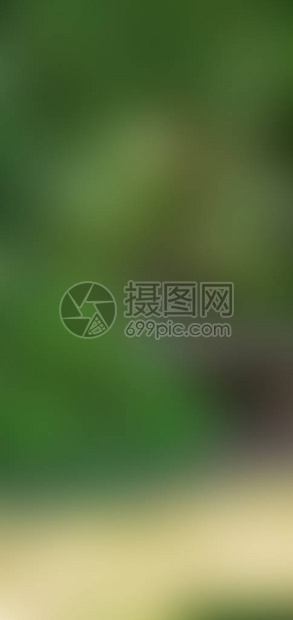 抽象模糊渐变背景自然背景您的设计横幅或海报的生态概图片