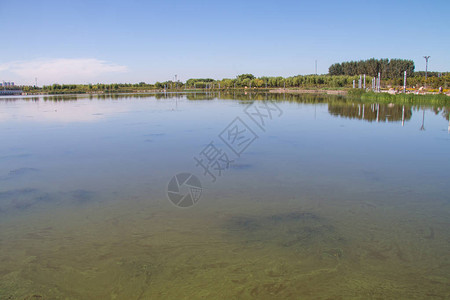 被小球藻污染的湖水图片