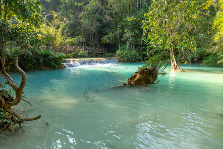 雨林老挝LuangPrabang的TatKuang图片