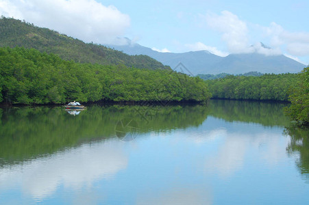 Bacungan红树林清水河自然风景图片