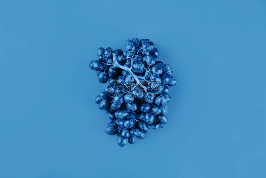 蓝月军团主场迎战蓝军