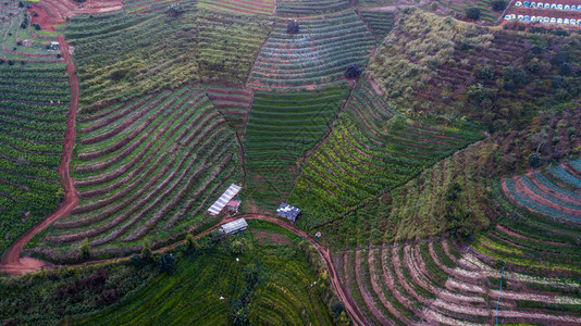 农业地区空中照片高角度图片