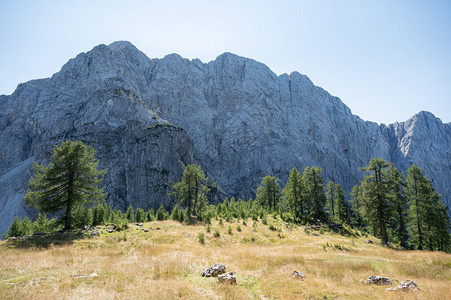 下面是高的落基山脉和森林小山的美丽景色图片