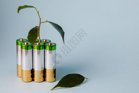 AAAlkaline电池和绿叶清图片