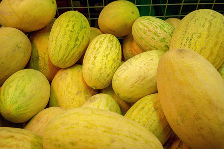 成熟的黄色瓜关闭选择聚焦重在吃瓜图片