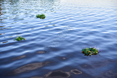 圣约翰的花圈在湖边上他把图片