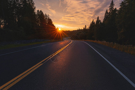 道路指示标通向日落的道路森林和太背景