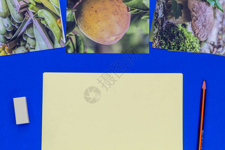 三鲜粉使用健康食品印刷照片白纸换文字木制薄粉和橡胶背景