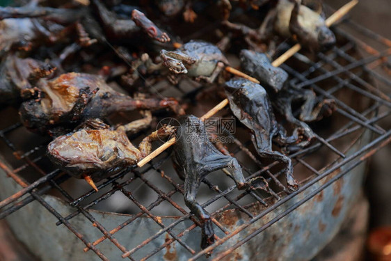 以后在炉子上做饭吃牛蛙这图片