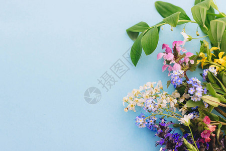 母亲节快乐蓝纸背景上的野花彩色边框与文本空间盛开的春天的花朵图片