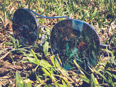 草地的太阳镜夏季附属物图片