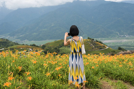 亚洲女人拍照并站在黄虎百合农场图片