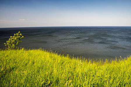 风景田野绿草海蓝水蓝天空春天图片