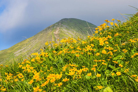 在喀尔巴阡山脉的多彩夏日景观Hoverla山的视图图片