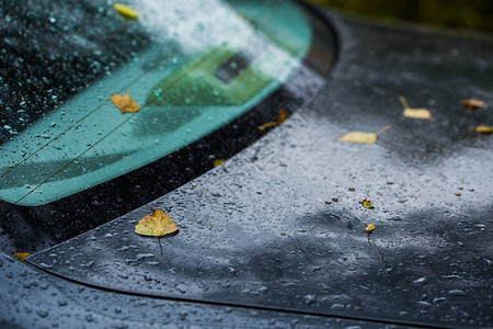 在秋天的雨天深蓝色汽车与橙色白叶关闭图片