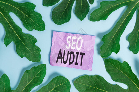 SeoAudit商业图片显示搜索引擎优化校验和证程序图片