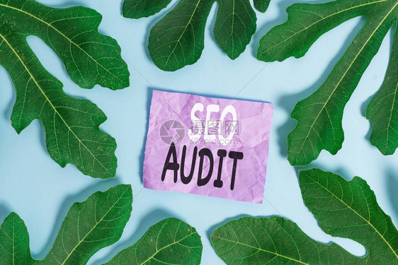 SeoAudit商业图片显示搜索引擎优化校验和证程序图片