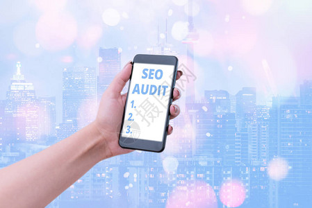 SeoAudit概念摄影搜索引擎优化校验和核实过程的确认与核查程序AAC96图片