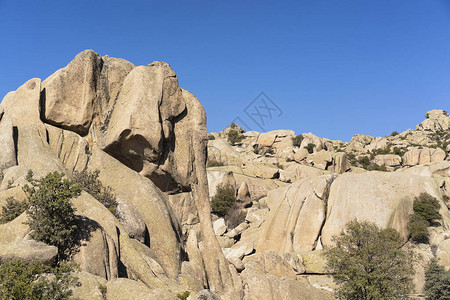 在西班牙马德里ManzanaresElReal的Guadarrama山区公园LaPedriza的Elefant图片
