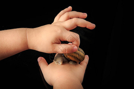 近身小孩用手在黑镜背景和反射的贝壳图片