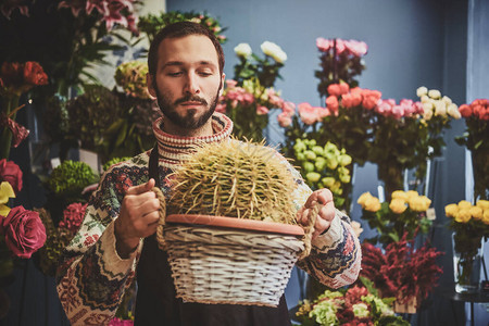 年轻专业花匠的肖像巨型仙人掌握在手中图片