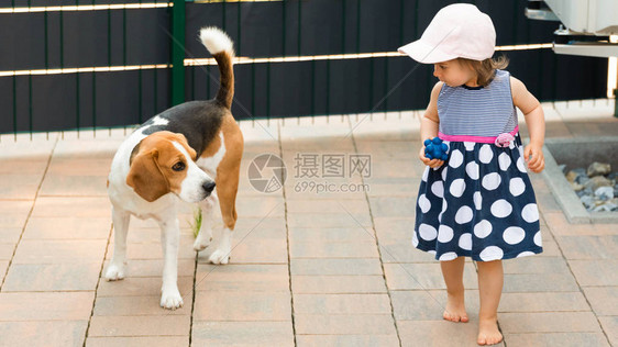 婴儿女孩和狗一起在夏日的花园里玩耍图片