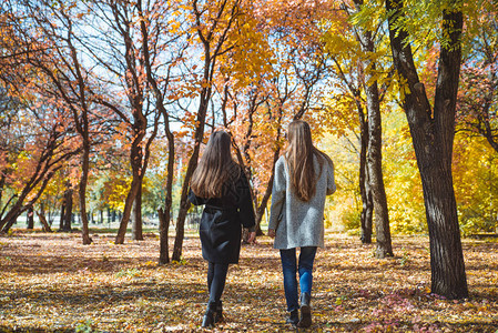 两位女友在秋天城市公园聊背景图片