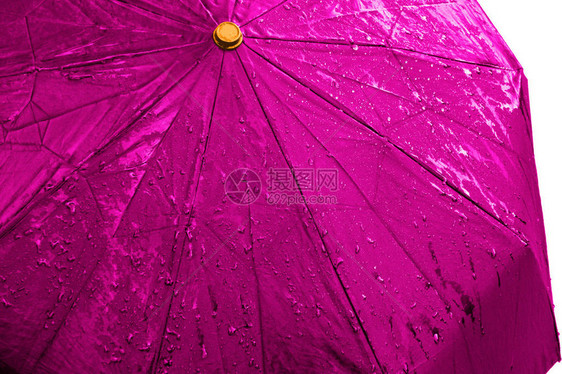 湿粉色雨伞在孤立的背景上特写图像带水滴和飞溅的防水织物布好或坏的天气概念四个季节下雨图片