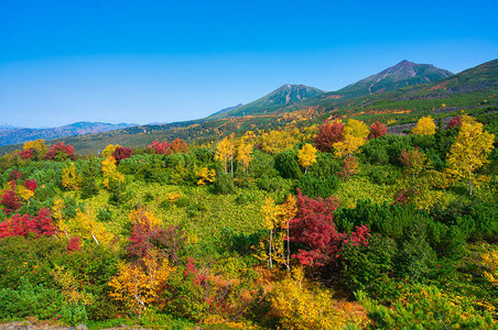 十胜二秋天北海道背景图片