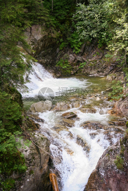 波兰罗兹托卡溪边塔特拉山上的WodogrzmotyMickiew图片