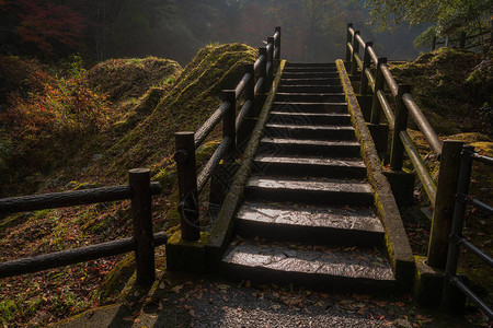 高原峡谷许多步骤之一图片