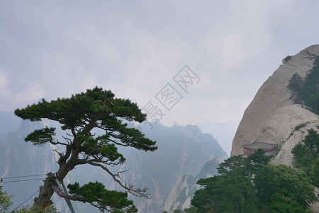 华山圣道教山广受欢图片