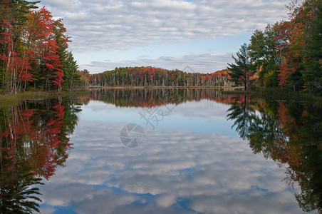 有树木和云彩的镜面反射的议会湖图片