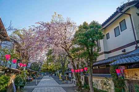 樱村市和城市图片