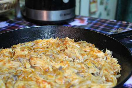 煎肉和洋葱放在锅里鸡放在一个铸铁锅里烤熟了图片