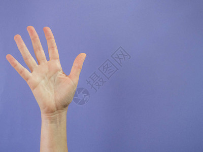 举牌子与五根手指举在紫色背景背景
