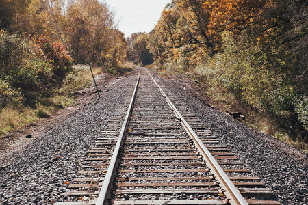 明尼苏达农村铁路轨迹在秋天阳光明图片