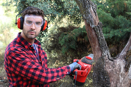 在森林里用电锯砍树的人图片