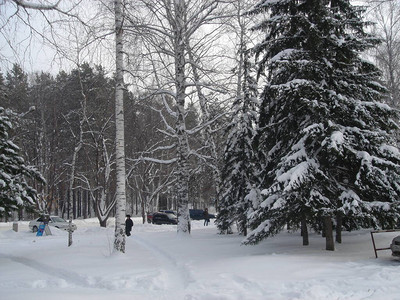 西伯利亚寒冷多雪的冬天图片