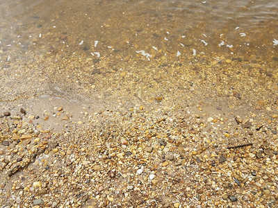 海滩上的水和石头或鹅卵石和贝壳图片