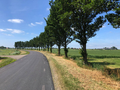 穿越荷兰弗里斯兰风景的道路图片