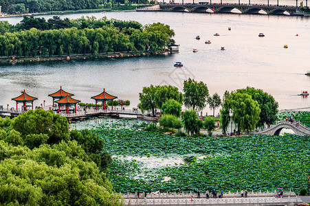 长春南湖公背景图片