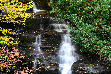 深秋林中的清凉瀑布图片